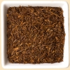 BIO - Rotbusch supergrade longcut lose